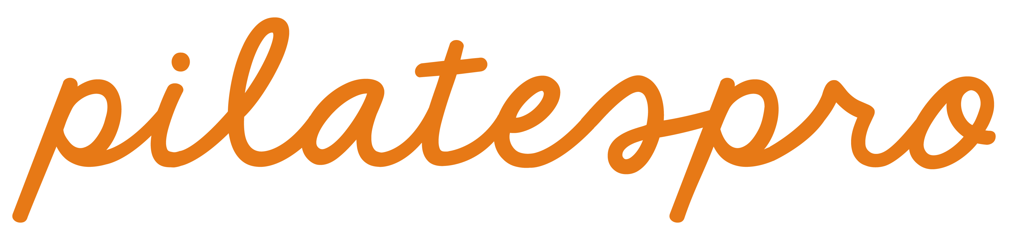 Logo PilatesPro